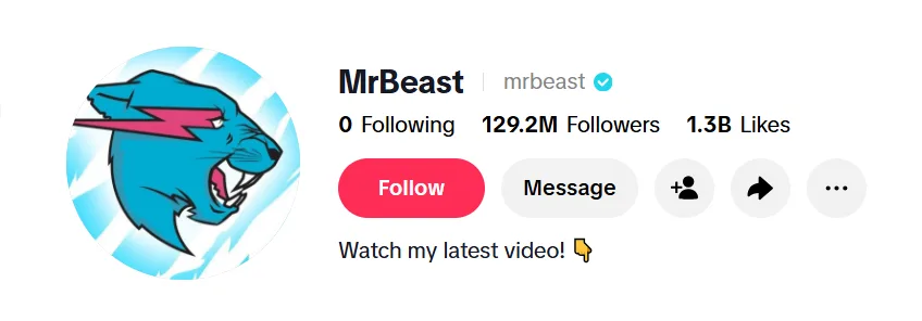 MrBeast's TikTok profile picture, publicly available on his verified TikTok account, featuring a drawn mascot logo
